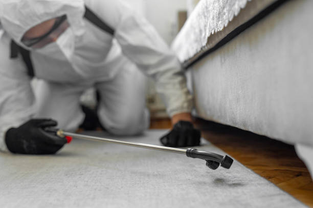 Professional Bed Bug Control technician working in Richland County County, SC